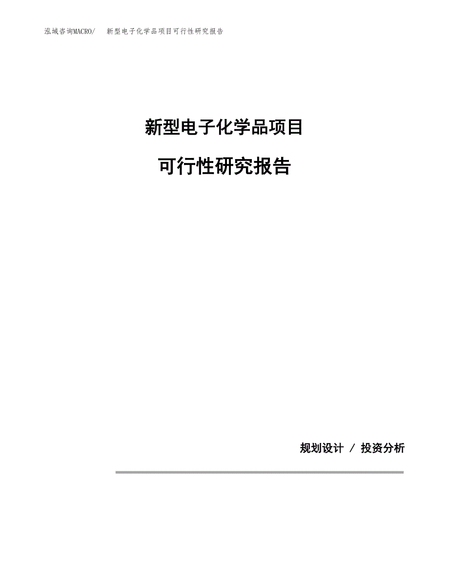 新型电子化学品项目可行性研究报告(样例模板).docx_第1页