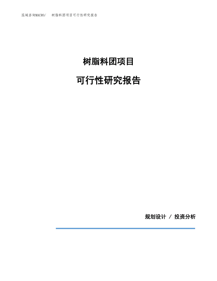树脂料团项目可行性研究报告(样例模板).docx_第1页