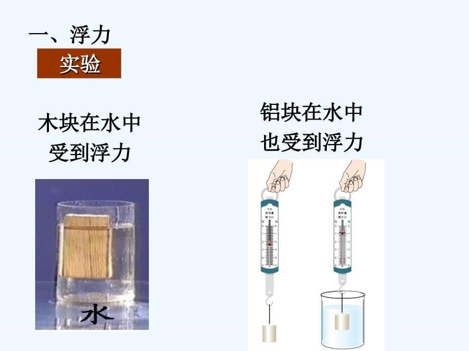 人教版初二物理第十章第一节浮力_第5页