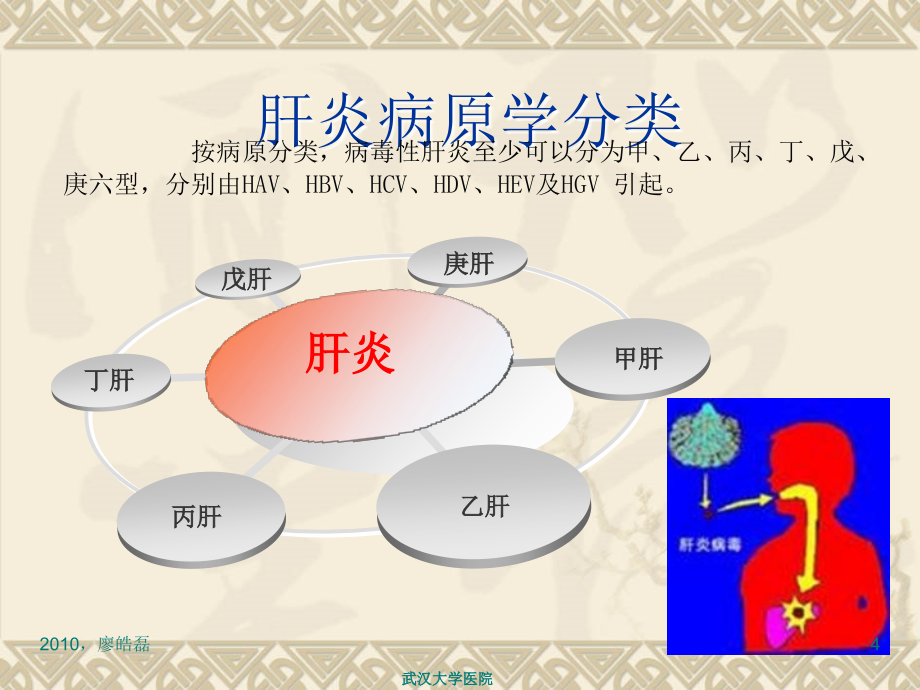 如何面对乙肝病毒的威胁资料_第4页