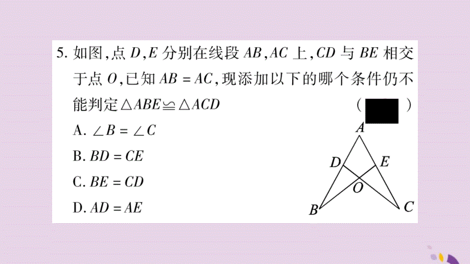 2018年秋八年级数学上册第2章三角形2.5全等三角形第6课时全等三角形判定方法的综合应用习题课件新版湘教版20190116354_第4页