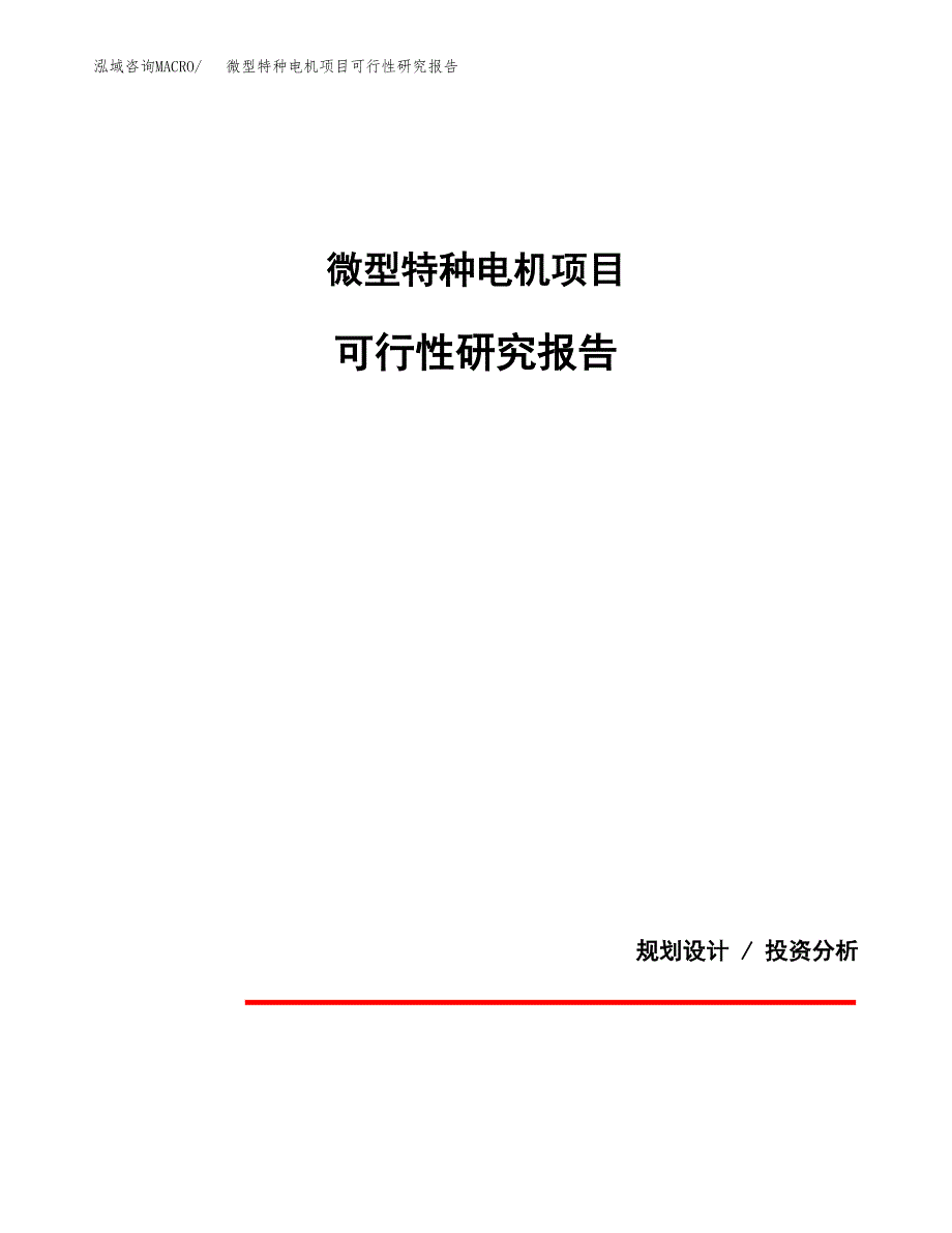 微型特种电机项目可行性研究报告(样例模板).docx_第1页