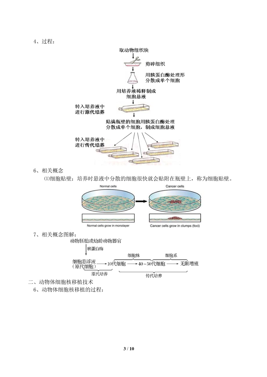 高中生物专题冲刺讲义20资料_第3页