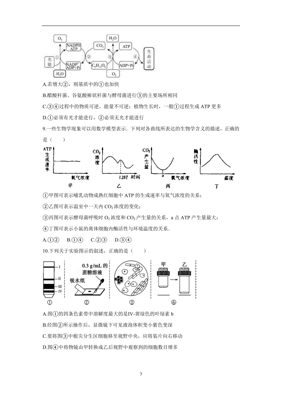 福建省漳州市芗城中学2017学年高三10月月考生物试题（附答案）.doc_第3页