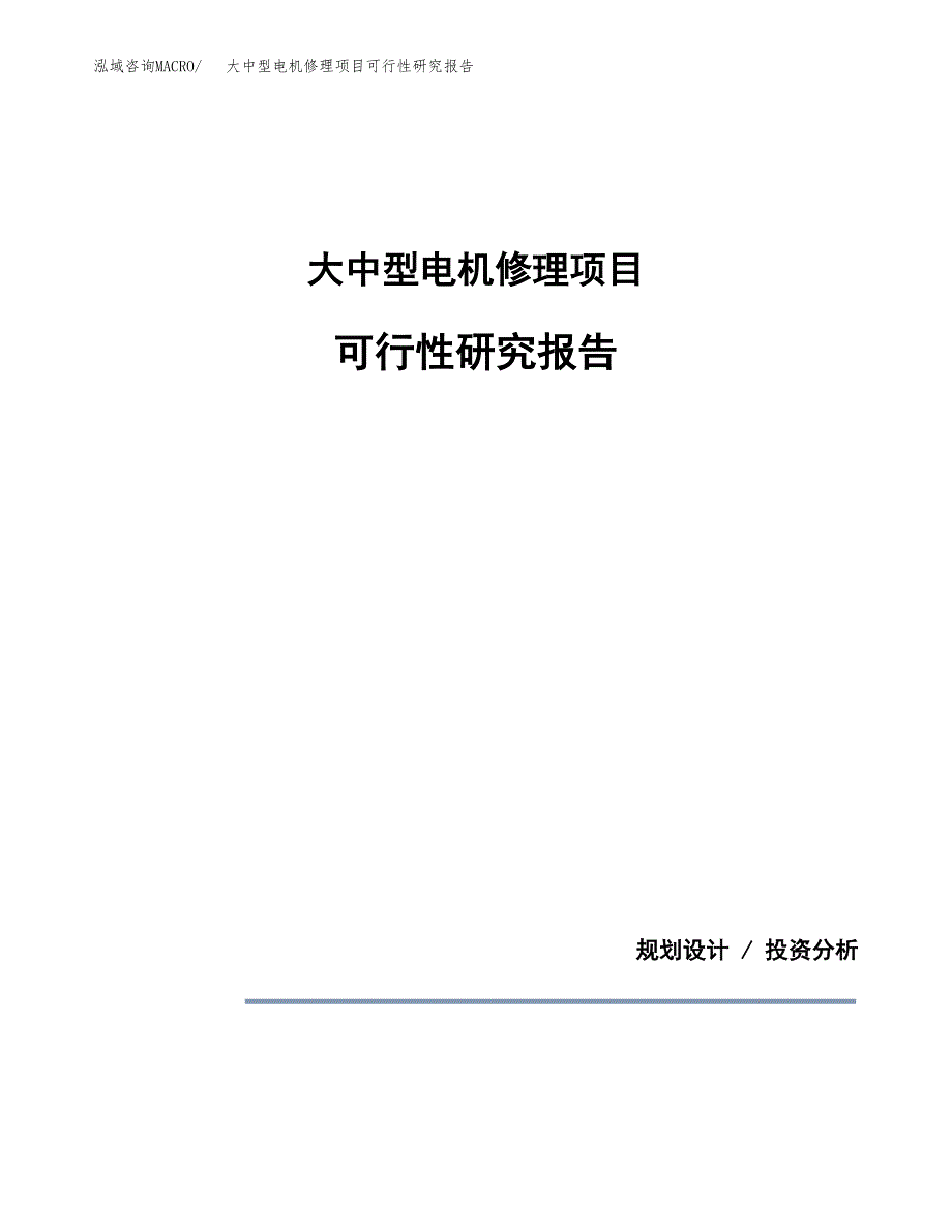 大中型电机修理项目可行性研究报告(样例模板).docx_第1页