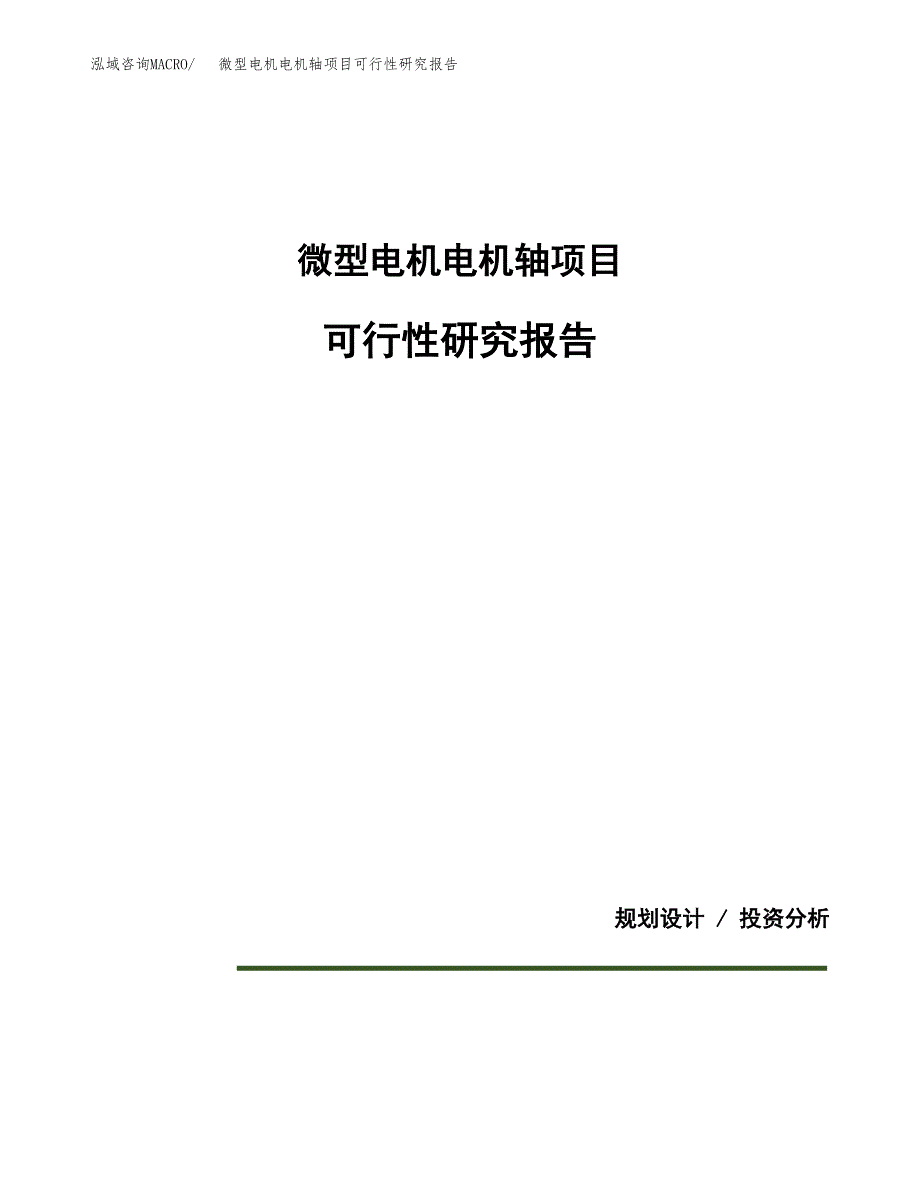 微型电机电机轴项目可行性研究报告(样例模板).docx_第1页