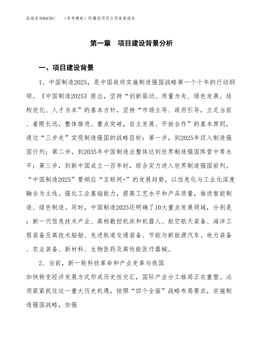 新建（参考模板）防爆毯项目立项备案报告.docx_第2页