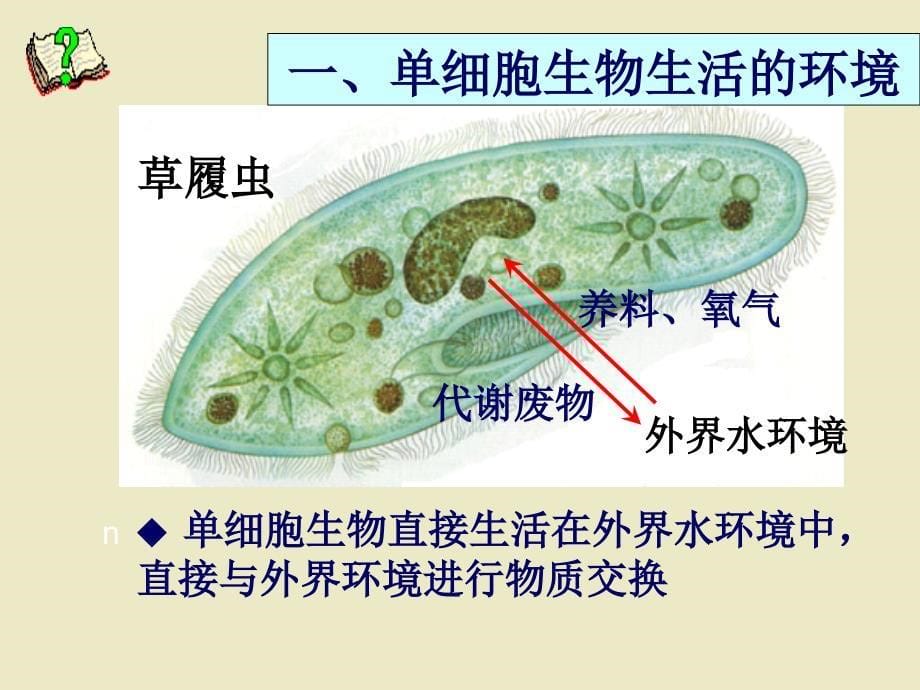 细胞生活的环境课时_第5页