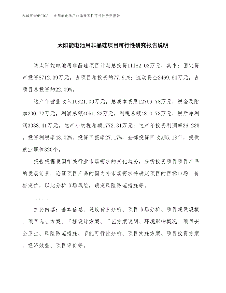 太阳能电池用非晶硅项目可行性研究报告(样例模板).docx_第2页