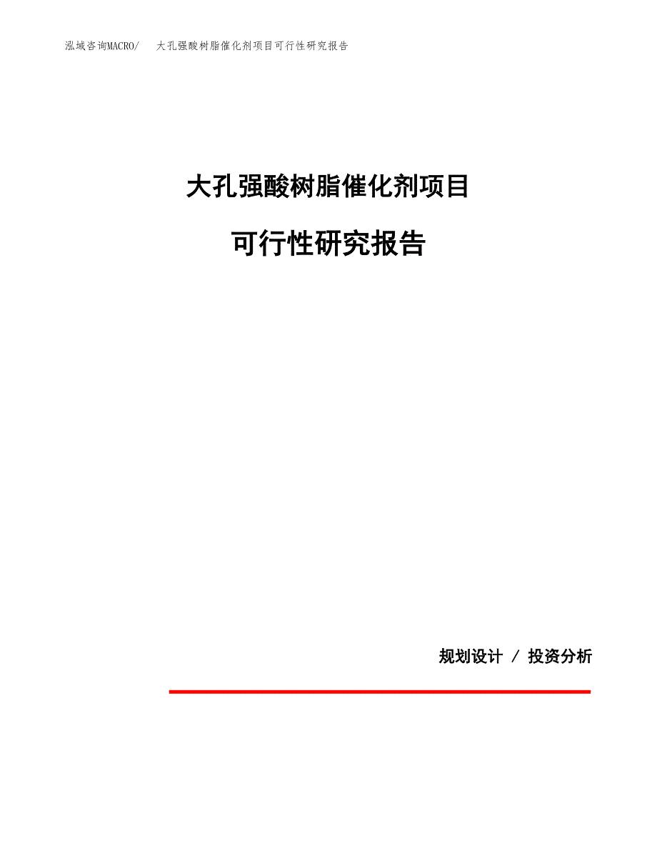 大孔强酸树脂催化剂项目可行性研究报告(样例模板).docx_第1页