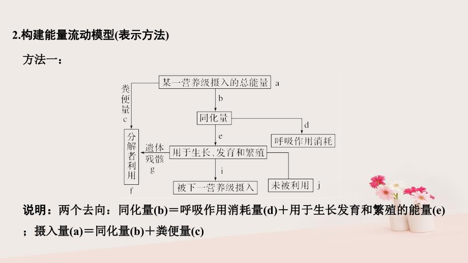 2019版高考生物大一轮复习 第十单元 生物群体的稳态与调节 补上一课6中图版必修3_第4页