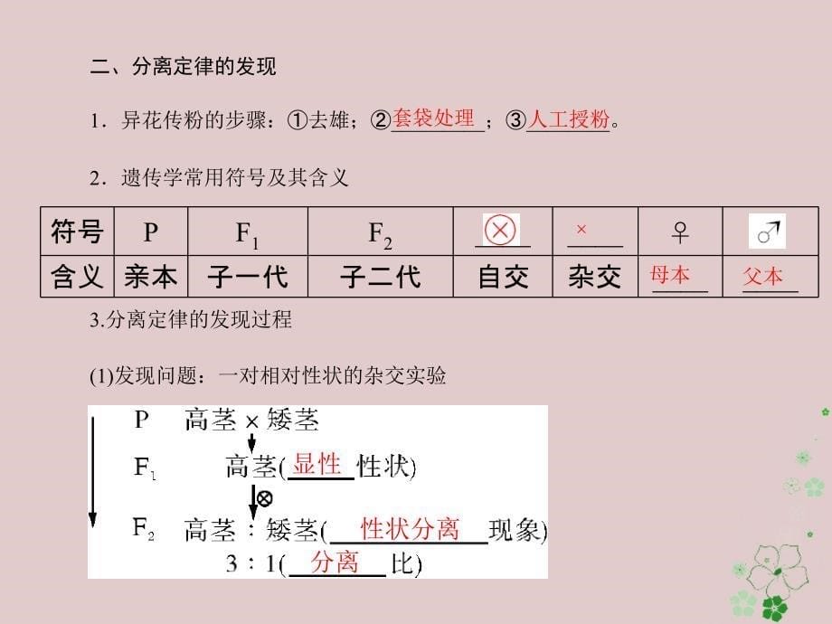 2019版高考生物一轮总复习 第1章 遗传因子的发现 第1节 孟德尔的豌豆杂交实验（一）必修2_第5页