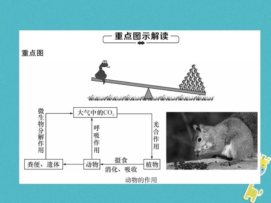 2018年八年级生物上册 第5单元 第3章 动物在生物圈中的作用练习课件 （新版）新人教版_第5页