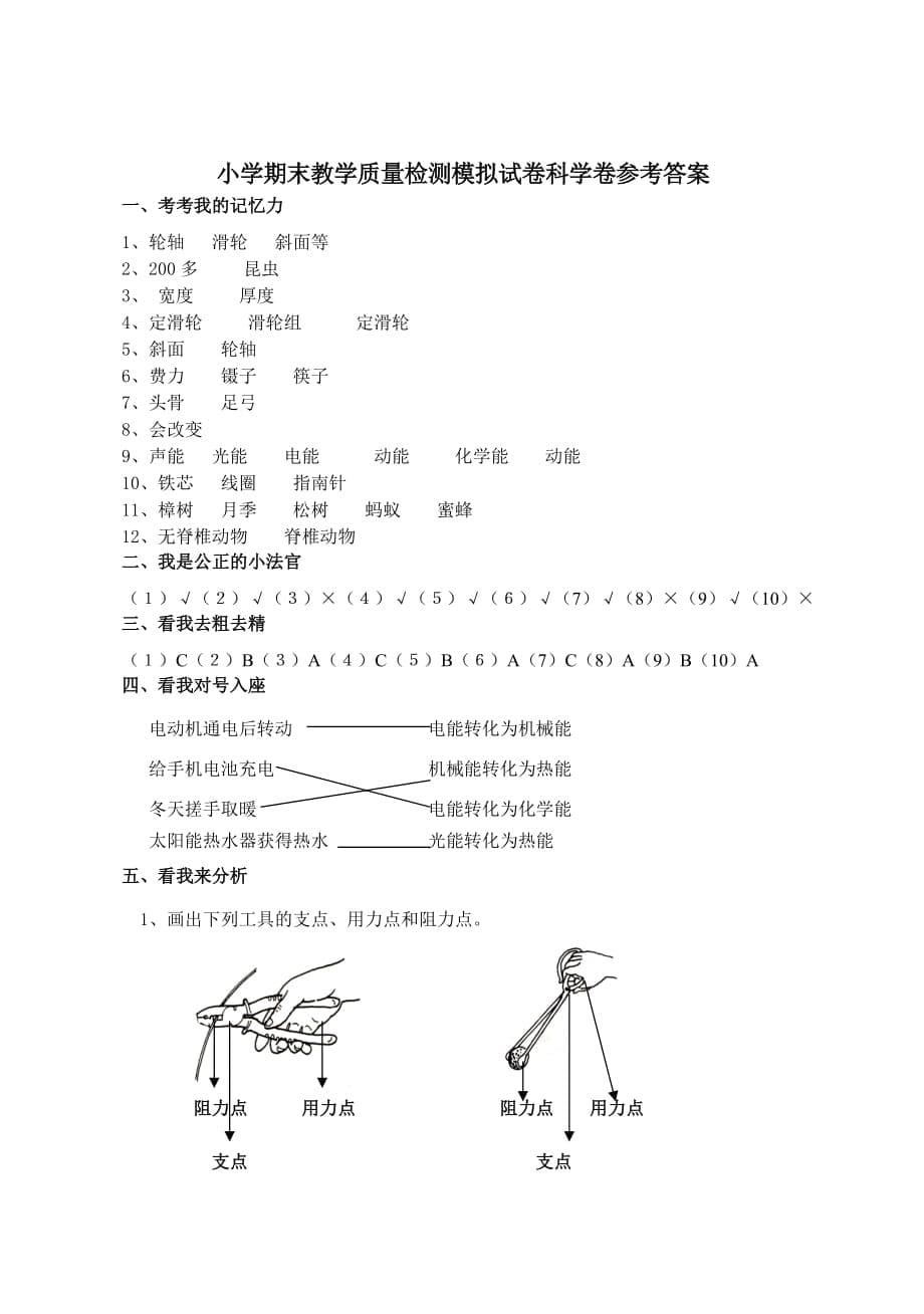 六年级上册科学试题-期末试卷（无答案）教科版_第5页