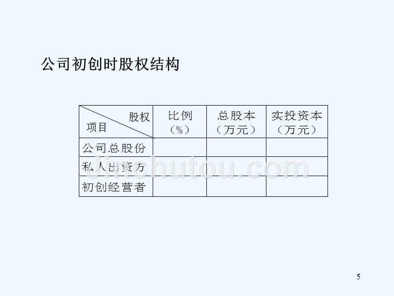 公司员工期权策划_第5页