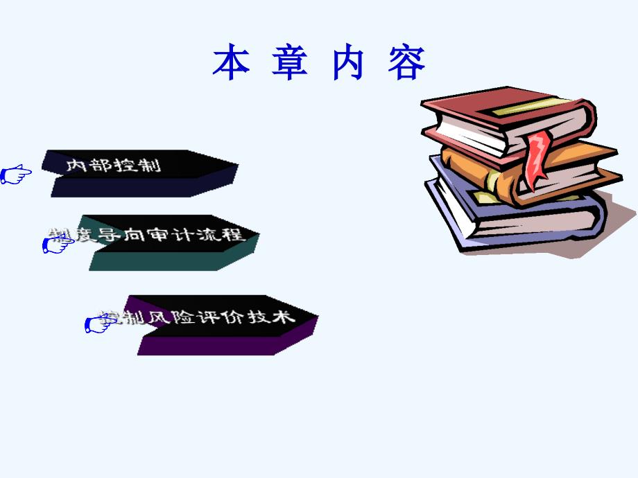 制度导向审计专业技术标准_第2页