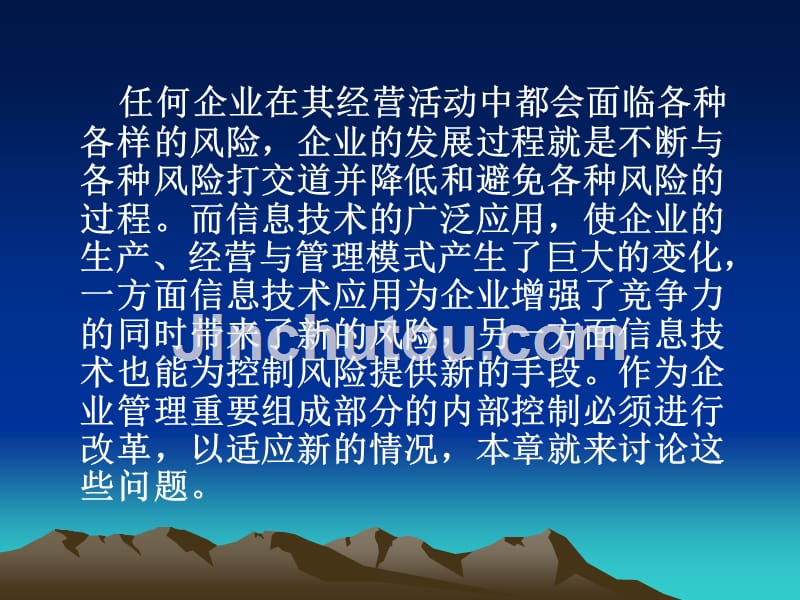 内部控制_信息技术环境下企业内部控制（66页）_第2页