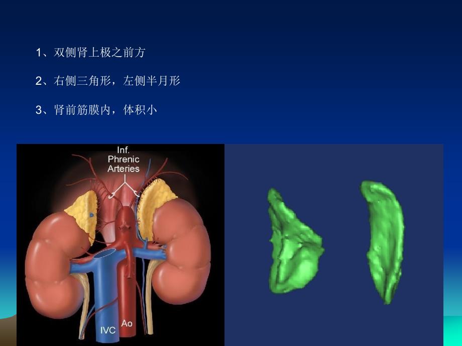 肾上腺常见肿瘤资料_第3页