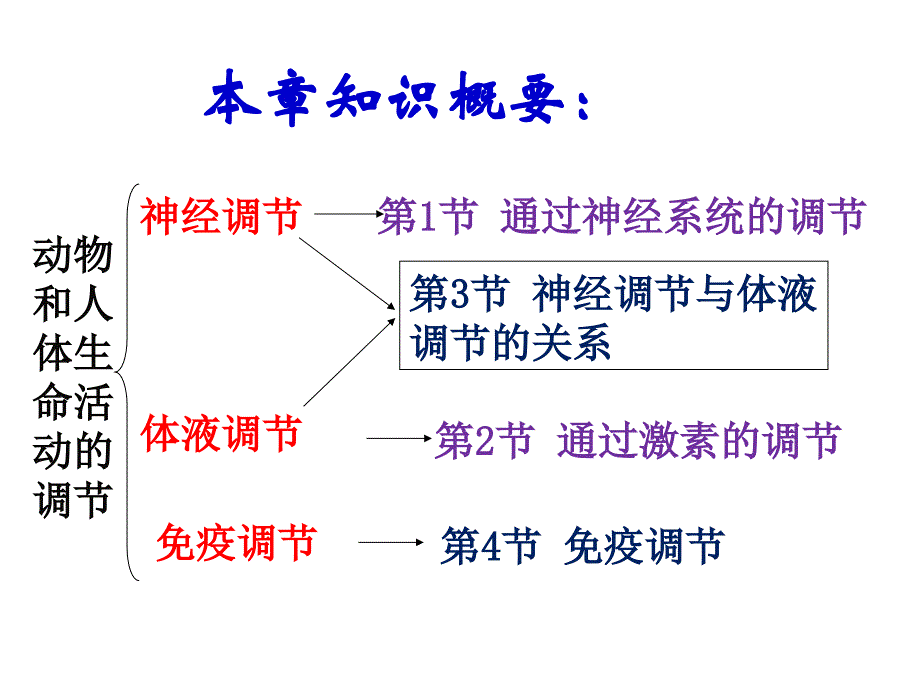 通过神经系统的调节上课很实用ppt资料_第2页