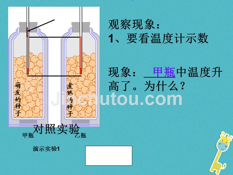 吉林省长春市七年级生物上册 第三单元 第五章 第二节 绿色植物的呼吸作用4 （新版）新人教版_第4页