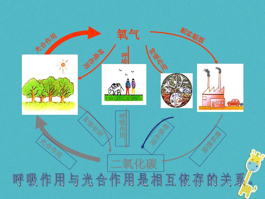 吉林省通榆县七年级生物上册 3.6 爱护植被绿化祖国（新版）新人教版_第2页