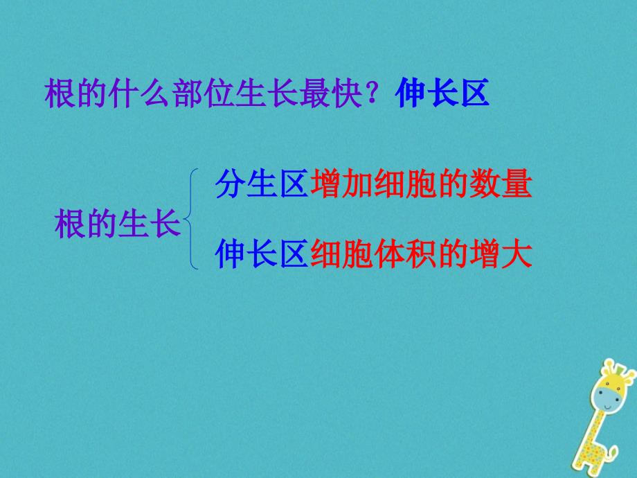 安徽省合肥市长丰县七年级生物上册 3.2.2 植株的生长2 （新版）新人教版_第3页