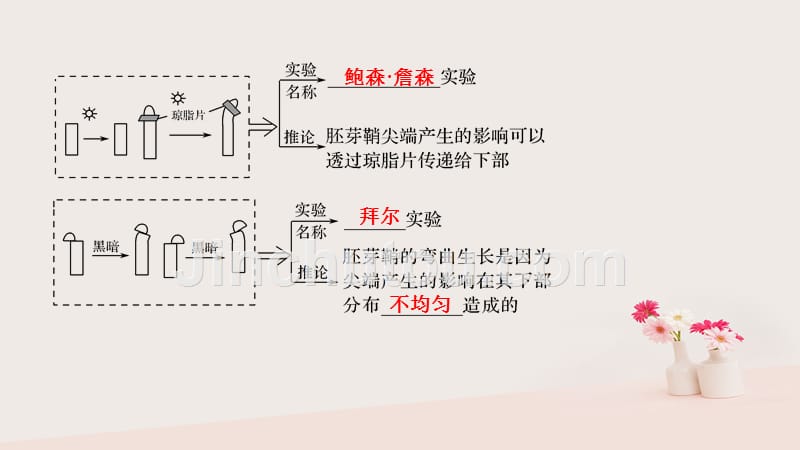 2019版高考生物大一轮复习 第九单元 生物个体的稳态与调节 第22讲 植物生命活动的调节中图版必修3_第4页