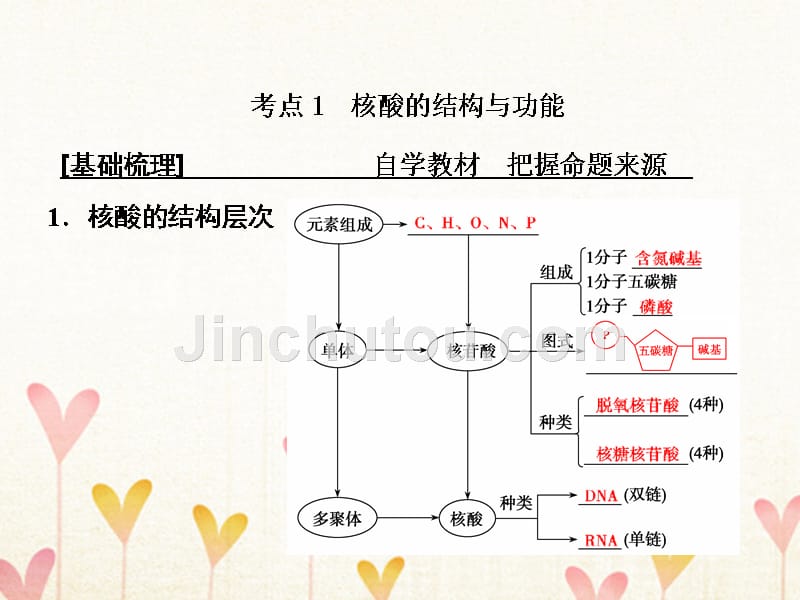 2019版高考生物一轮复习 第一部分 第一单元 细胞及其分子组成 第3讲 核酸 细胞中的糖类和脂质新人教版_第3页