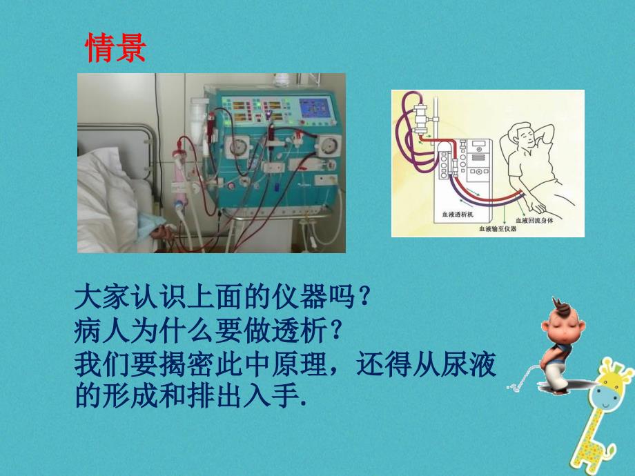 山东省惠民县七年级生物下册 3.4.1《尿液的形成和排出》（新版）济南版_第2页