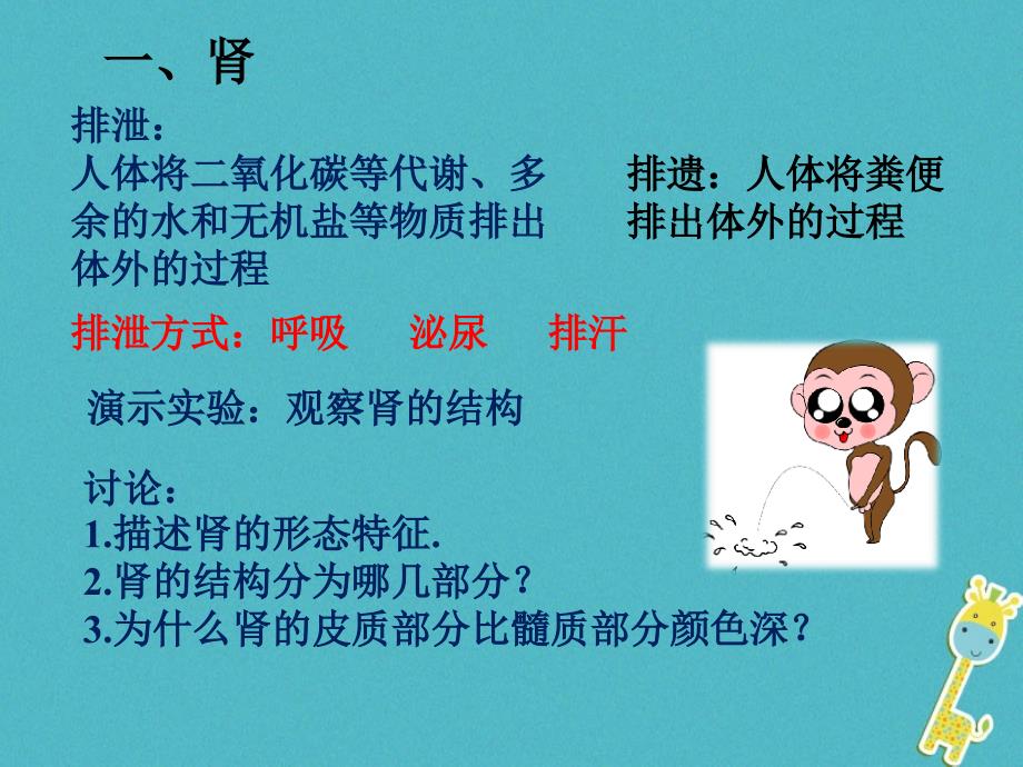 山东省惠民县七年级生物下册 3.4.1《尿液的形成和排出》（新版）济南版_第3页