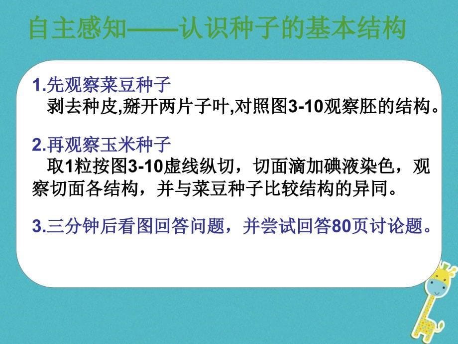 广东省汕头市七年级生物上册 3.1.2 种子的结构（新版）新人教版_第5页