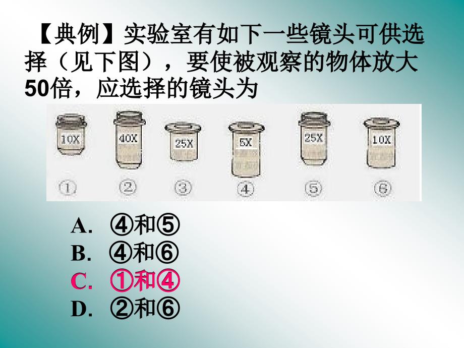 主题二生物体的结构层次_第4页