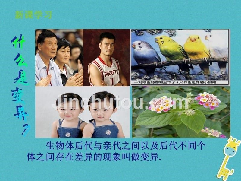 山东省惠民县八年级生物上册 4.4.4《生物的变异》（新版）济南版_第5页