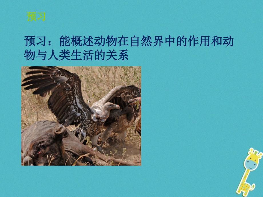 山东省惠民县七年级生物上册 2.2.5《动物在生物圈的作用》（新版）济南版_第2页