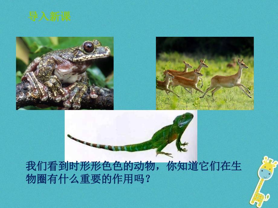 山东省惠民县七年级生物上册 2.2.5《动物在生物圈的作用》（新版）济南版_第3页