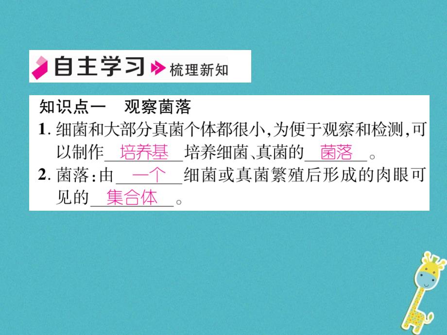 2018年八年级生物上册 5.4.1 细菌和真菌的分布作业（新版）新人教版_第3页