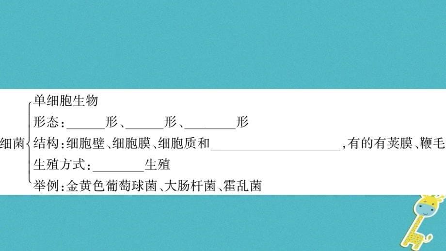 广西省玉林市2018年八年级生物上册 第五单元 第17-18章复习与提升（新版）北师大版_第5页