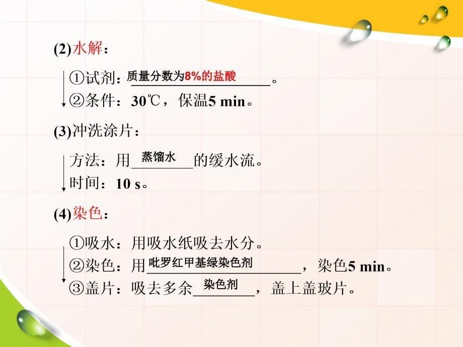 遗传信息的携带者—核酸课件21张资料_第5页