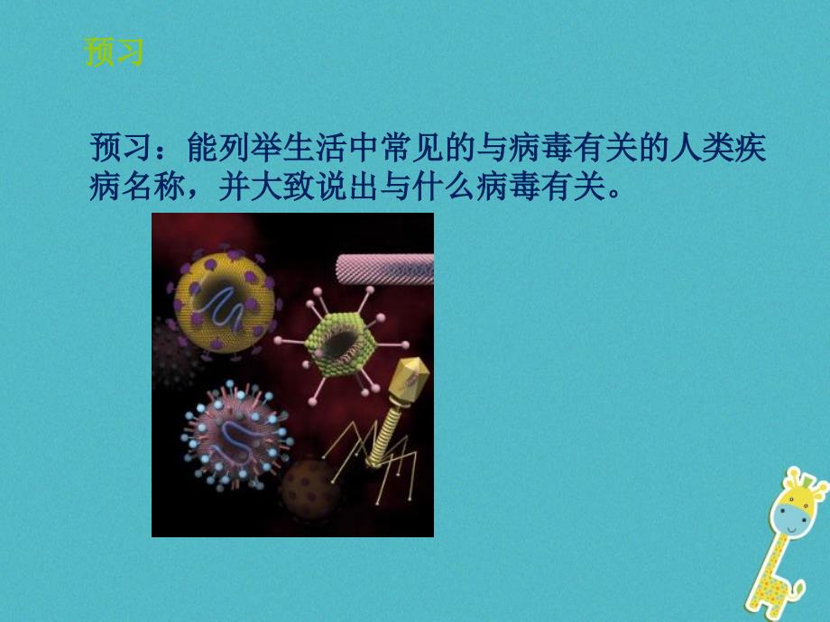 山东省惠民县七年级生物上册 2.3.1《病毒》（新版）济南版_第2页