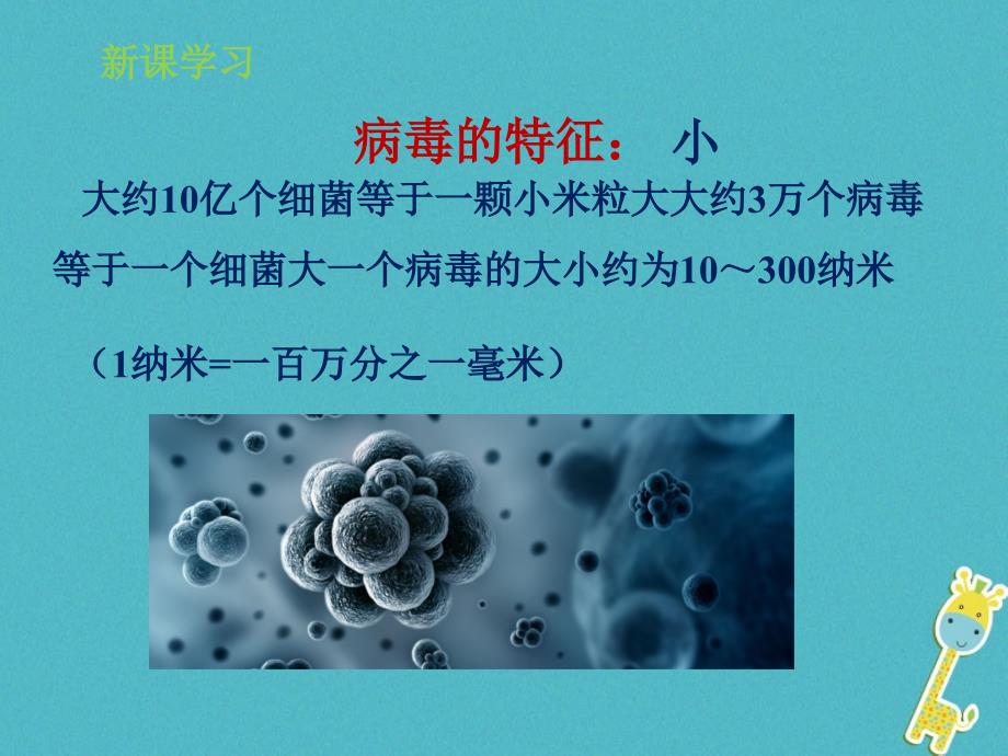 山东省惠民县七年级生物上册 2.3.1《病毒》（新版）济南版_第4页