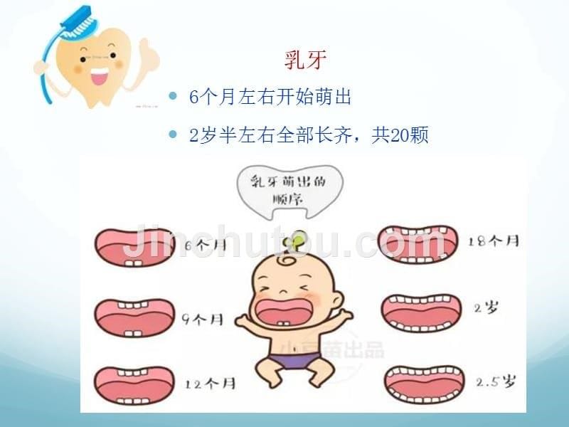 儿童牙齿保健PPT_第5页