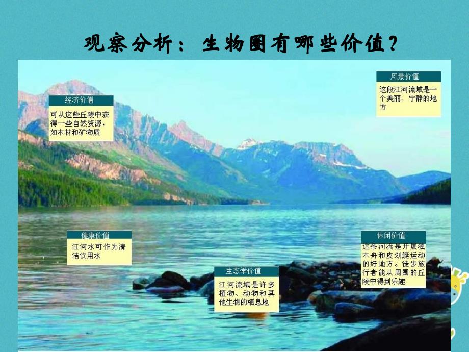 山东省安丘市七年级生物下册 3.7.2保护我们的家园（新版）济南版_第4页