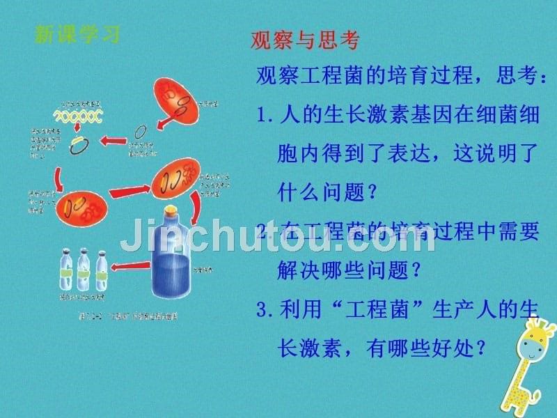 山东省惠民县八年级生物下册 7.2.1《基因工程》（新版）济南版_第5页