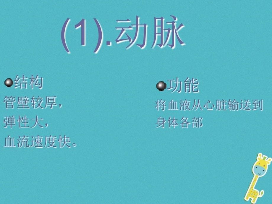 安徽省合肥市长丰县七年级生物下册 4.4.2《血流的管道—血管》3 （新版）新人教版_第5页