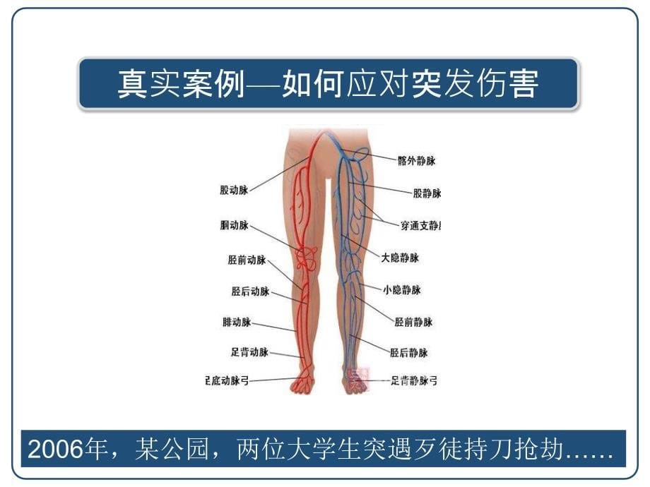 自救互救与应急避险_第5页