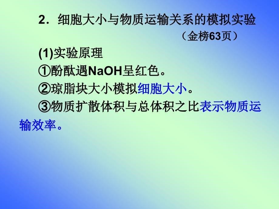 一轮复习细胞的增殖ppt (2)_第5页