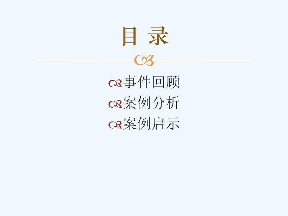 企业无形资产内部控制案例分析报告_第2页