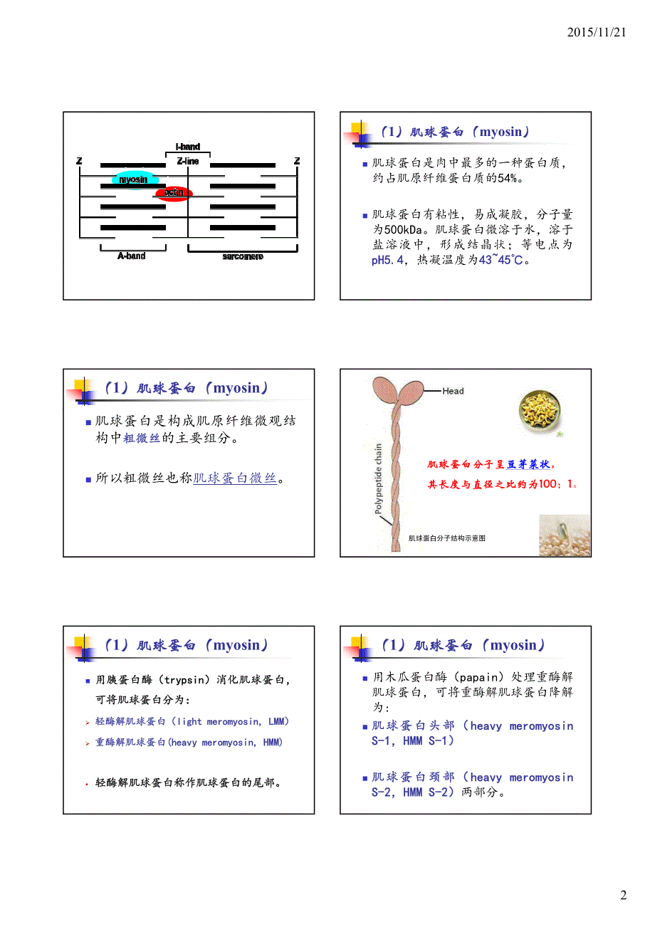 肉与肉制品 第四章 第二节肉的化学组成_第2页