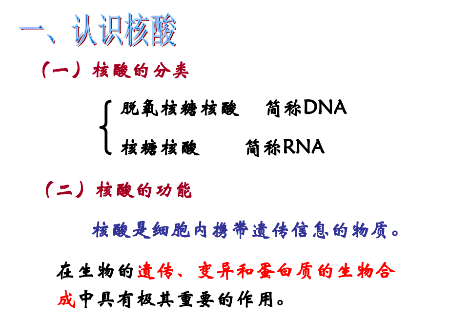 遗传信息的携带者——核酸课件资料_第4页