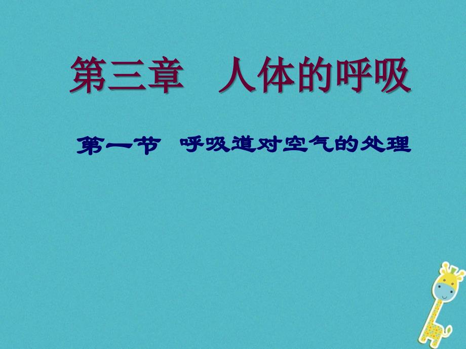 安徽省合肥市长丰县七年级生物下册 4.3.1 呼吸道对空气的处理1 （新版）新人教版_第1页